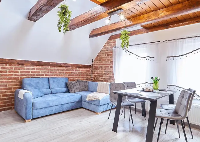 Sowi グウシツァ